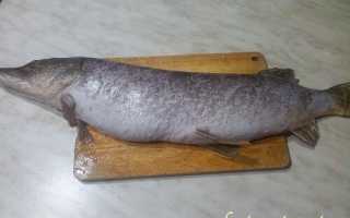 Маринад для щуки перед жаркой на сковороде