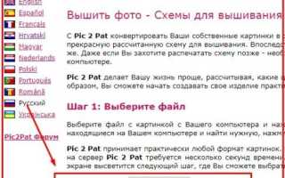 Как сделать схему вышивки по фото онлайн бесплатно — лучшие сервисы онлайн