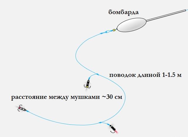Бомбарда схема Ловля на бомбарду с мушкой