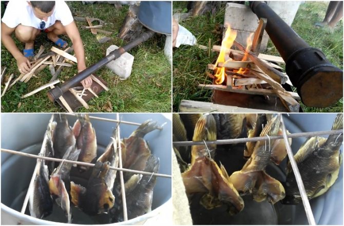 Холодное копчение карпа