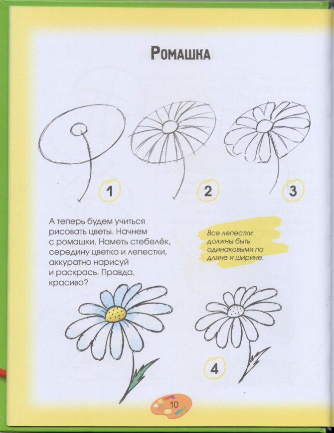 Как нарисовать ромашку?