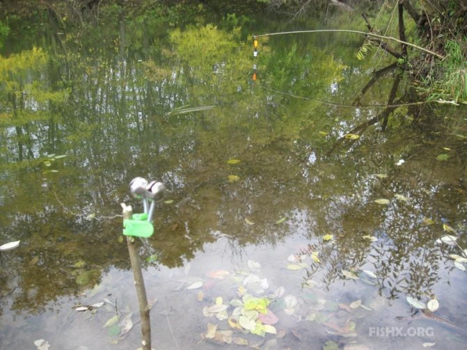 Ловля хищника осенью на реке