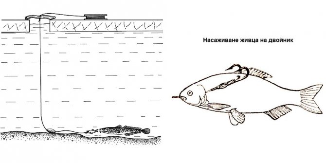 Ловля на поставушки зимой