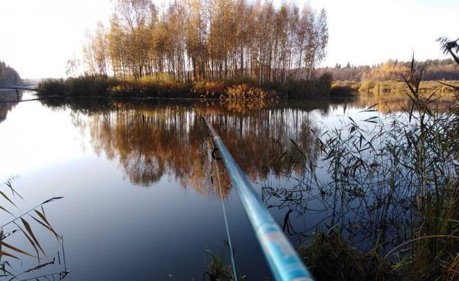 Ловля пескаря.