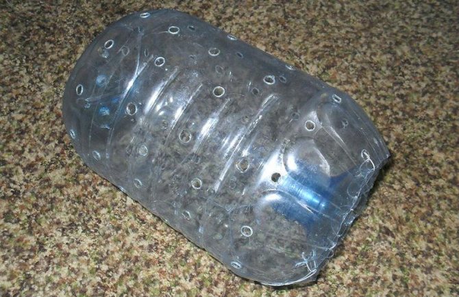 Ловушка для пескаря.