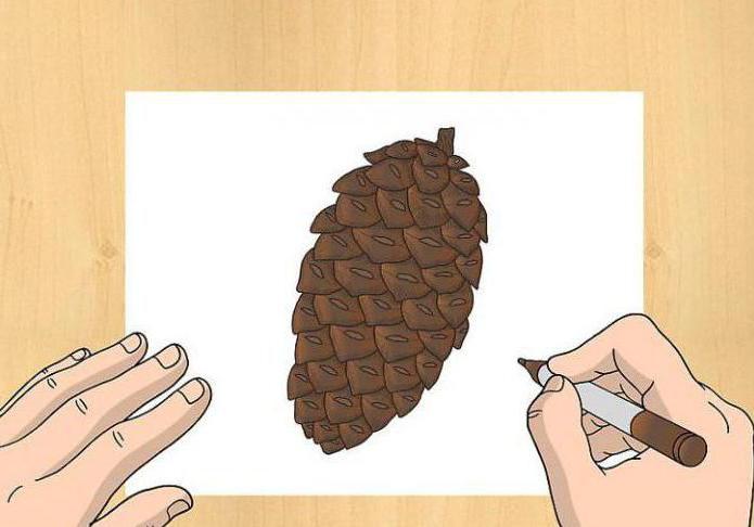 нарисовать шишку
