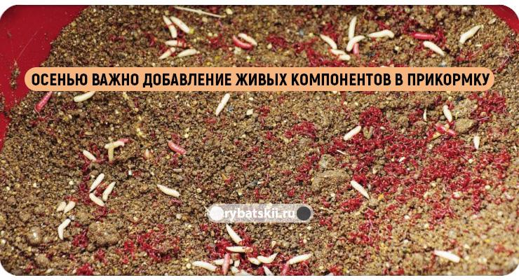Прикорма с живыми компонентами