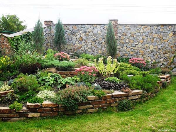 растения для альпийской горки