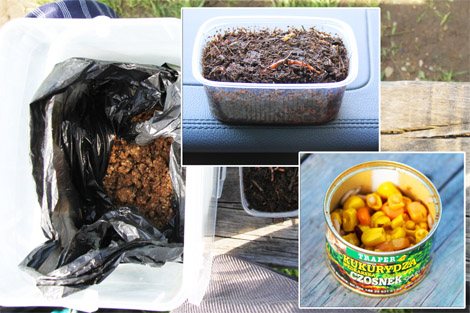 Рыбалка на Сенеже, где ловить на Сенеже, озеро Сенеж, рыбхоз Сенеж, рыбалка, Сенежское озеро, рыбалка на Сенежском озере, рыбное хозяйство Сенеж