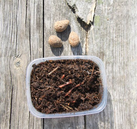 Сенежское озеро рыбалка на сенежском озере рыбное хозяйство Сенеж - фото Андрей Шалыгин