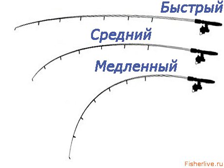 Строй спиннинга ультралайт быстрый средний и медленный