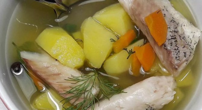 Уха из рыбы почти готова