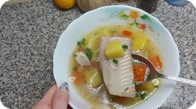 Уха из рыбы