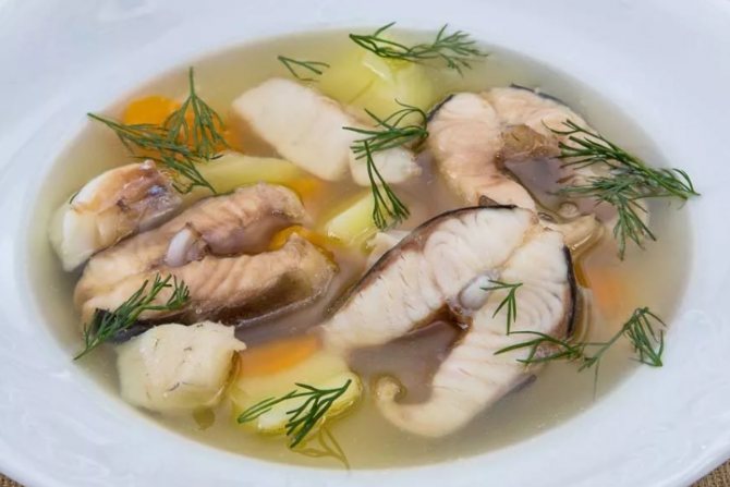 Уха вкуснее и лучше из хорошей крупной рыбы: карпа, щуки, форели