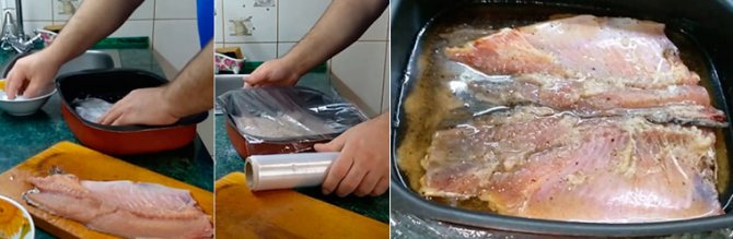 Засолка рыбы