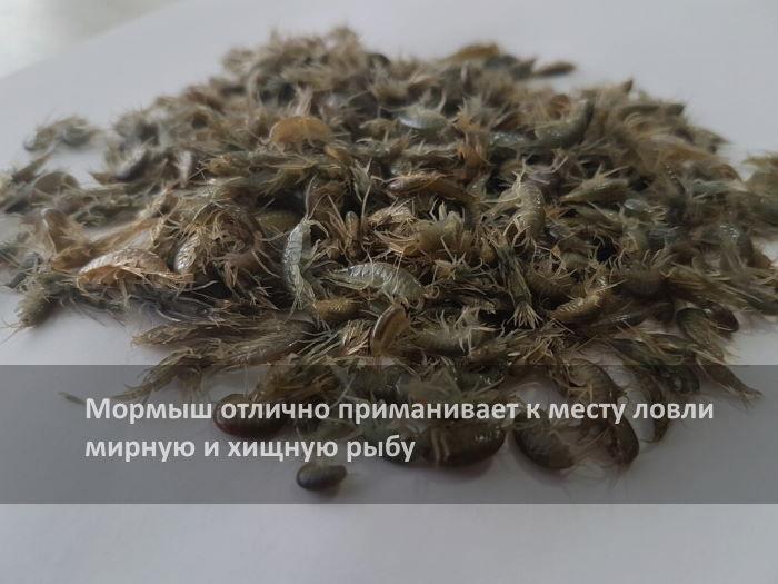 Способ кормления