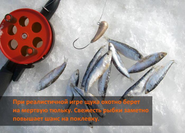 Для мальков