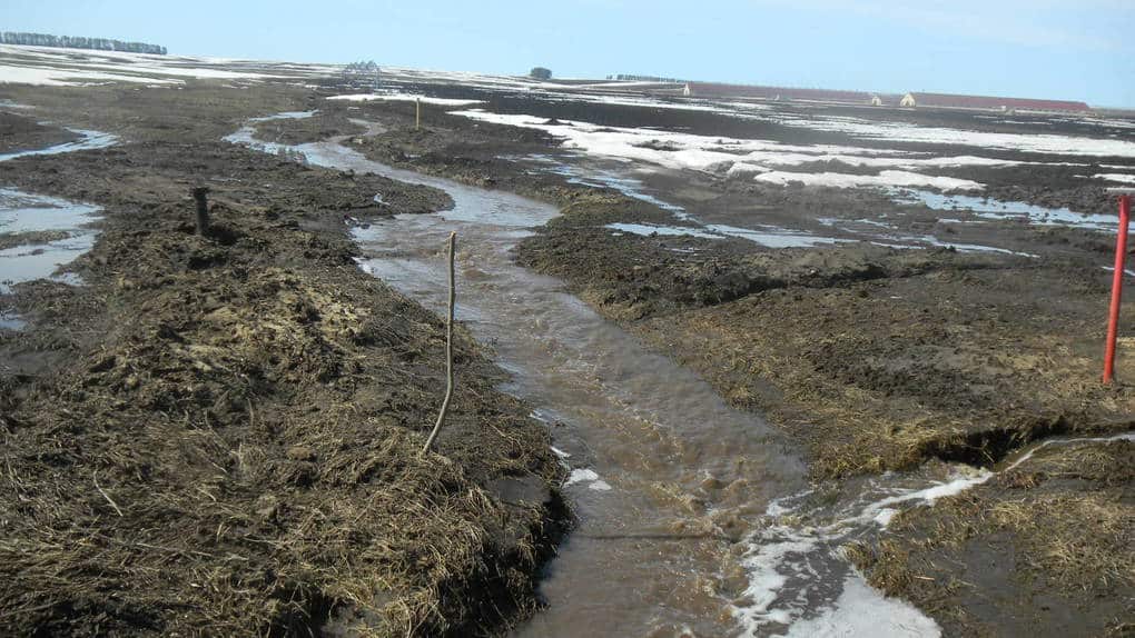 Ориентирование на местности: ТОП-15 способов (+видео)