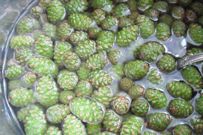 наполнить водой