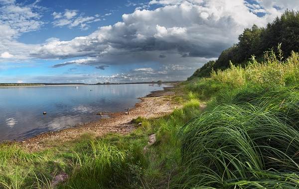 12 лучших мест для рыбалки в Архангельской области - платная и неоплачиваемая-3