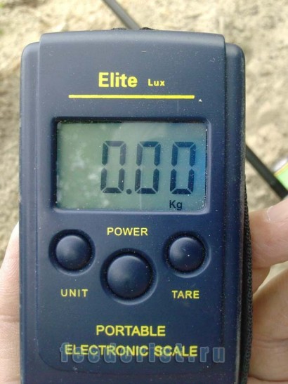 Кантер Кантер