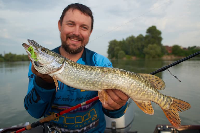 Река Кубань - географическое положение, характеристики и использование Река Кубань - географическое положение, характеристики и использование