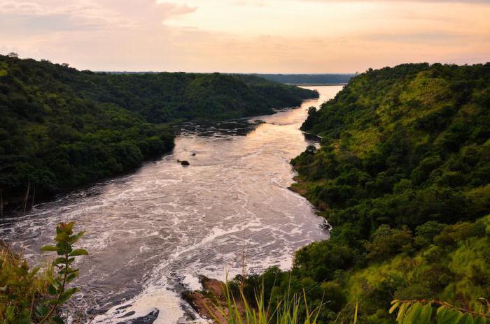 Бассейн Нила