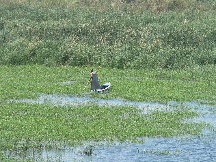 где река Нил впадает в