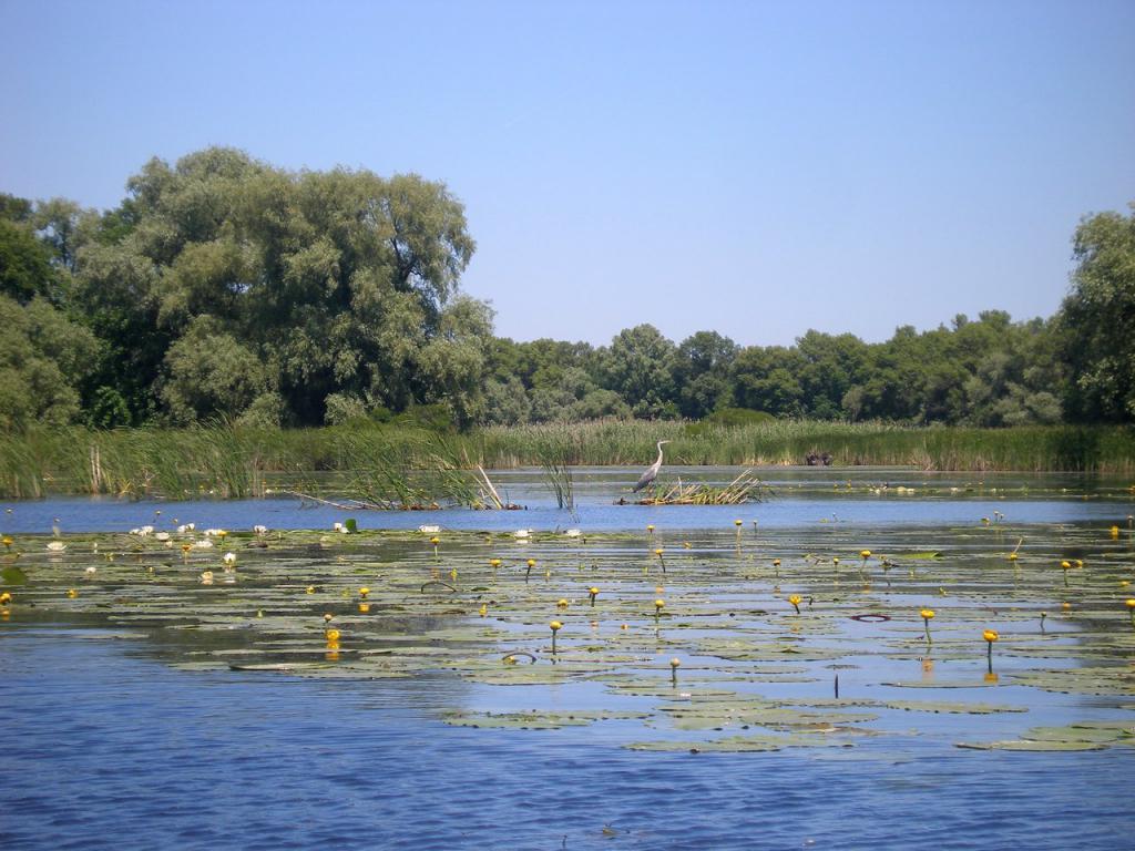 Днепровские поймы