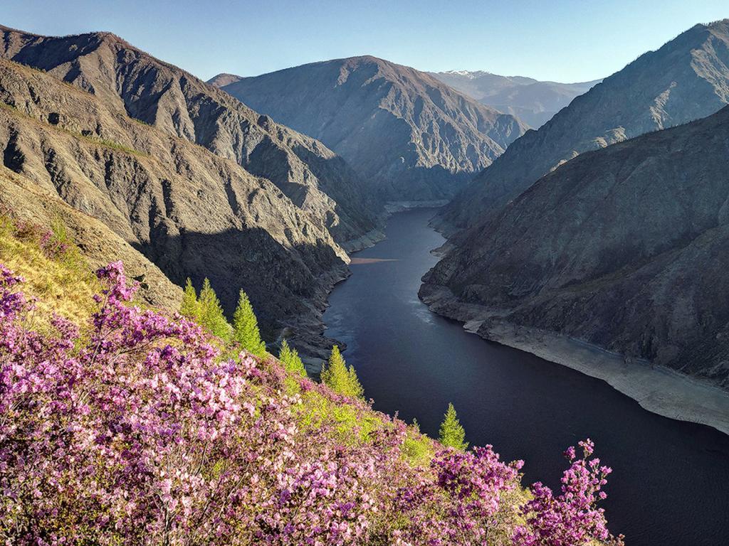 Река Енисей