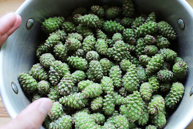 Подготовить зеленые шишки