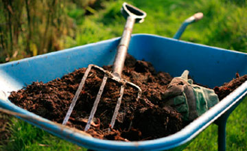 Изображение 7