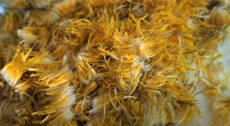 лепестки одуванчика