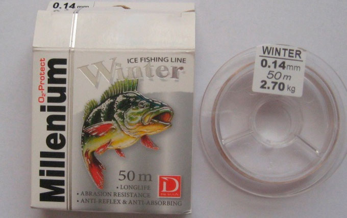 Зима Тысячелетия Дракона