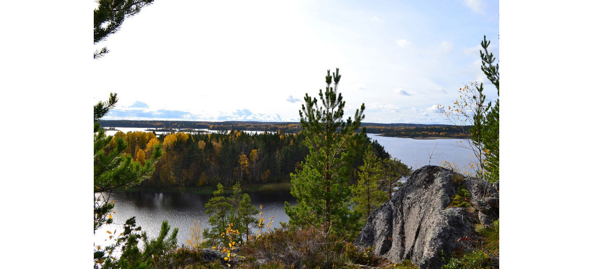Рыбалка на Ладожском озере: 15 лучших места для ловли (+какая рыба водится, базы отдыха)
