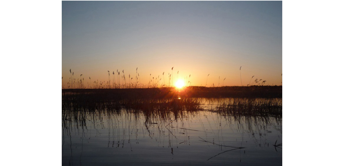 Рыбалка на Ладожском озере: 15 лучших места для ловли (+какая рыба водится, базы отдыха)