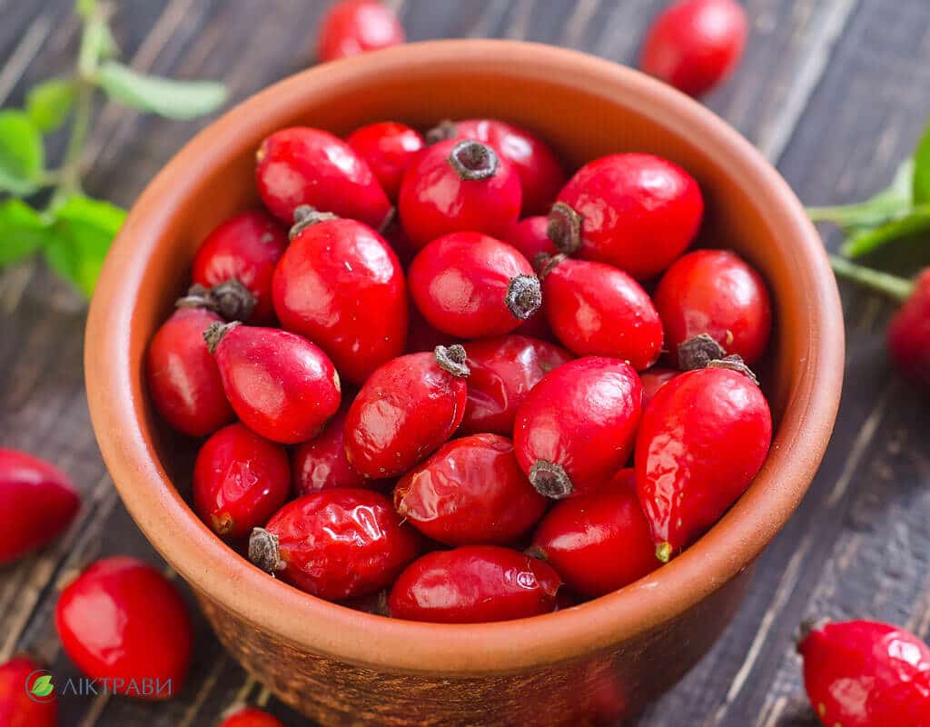 лесные ягоды со съедобными плодами Съедобные ягоды фото.