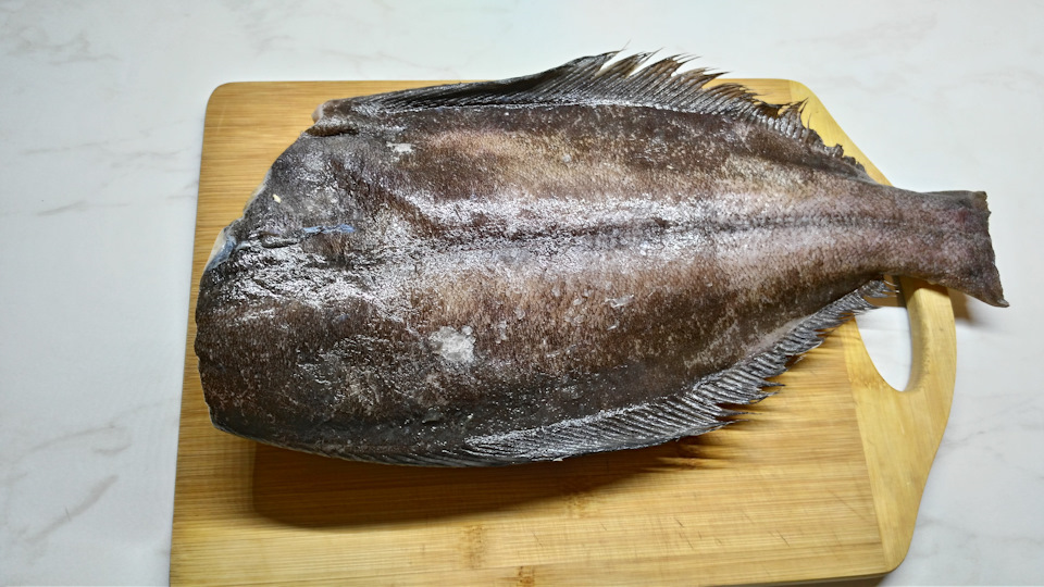 Рыба Палтус: (70+ фото) описание видов, где водится, как ловить, чем питается, как готовить