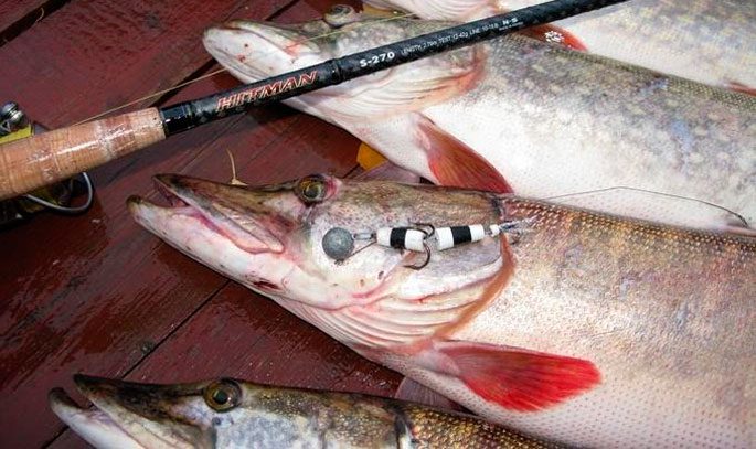 Мандула для рыбалки: (40+ фото), способы ловли, как сделать своими руками