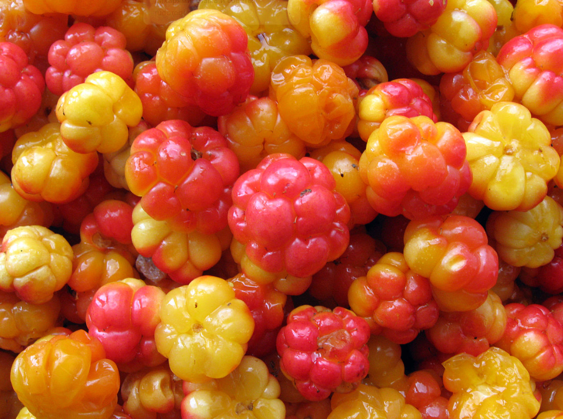 Съедобные ягоды - фото 6 Съедобные ягоды - фото 6