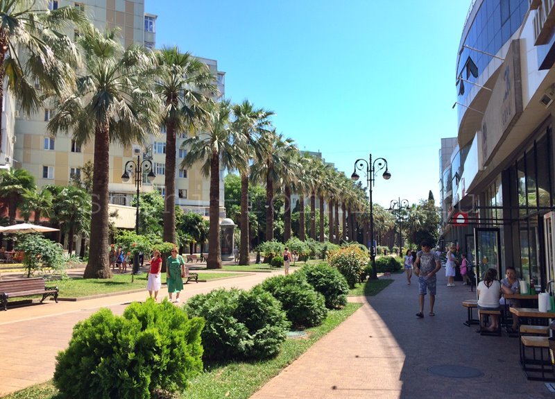 ТОП-35 лучших мест Сочи: куда сходить, что посмотреть самостоятельно в 2023 году