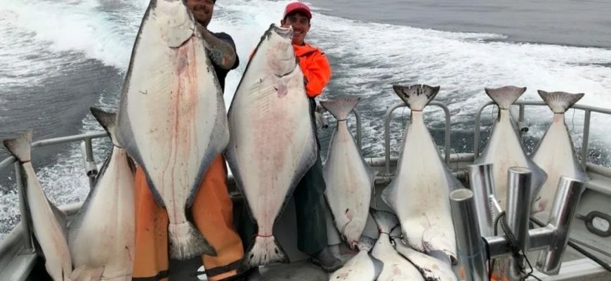 Стоимость уловов