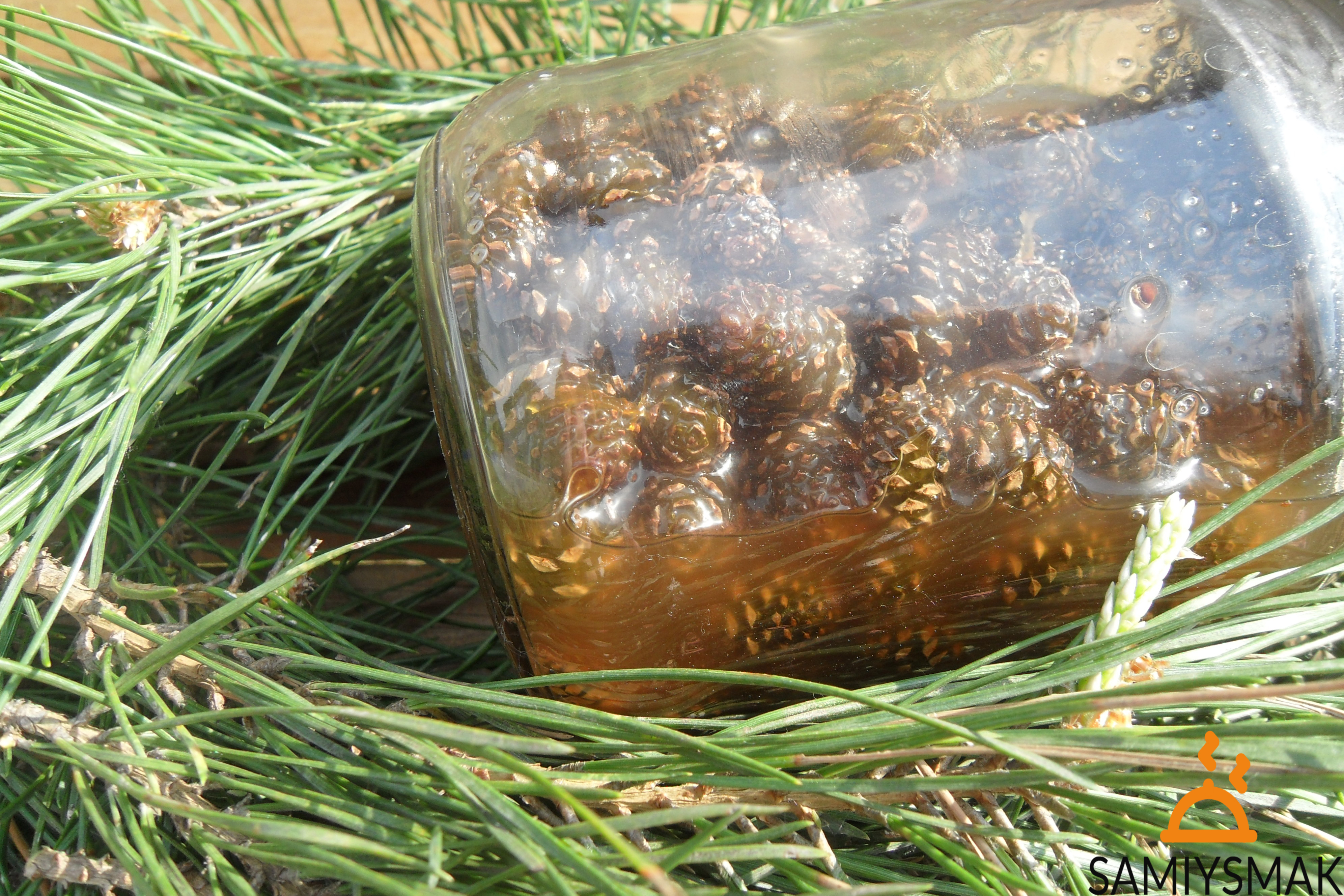 Домашнее варенье из сосновых шишек