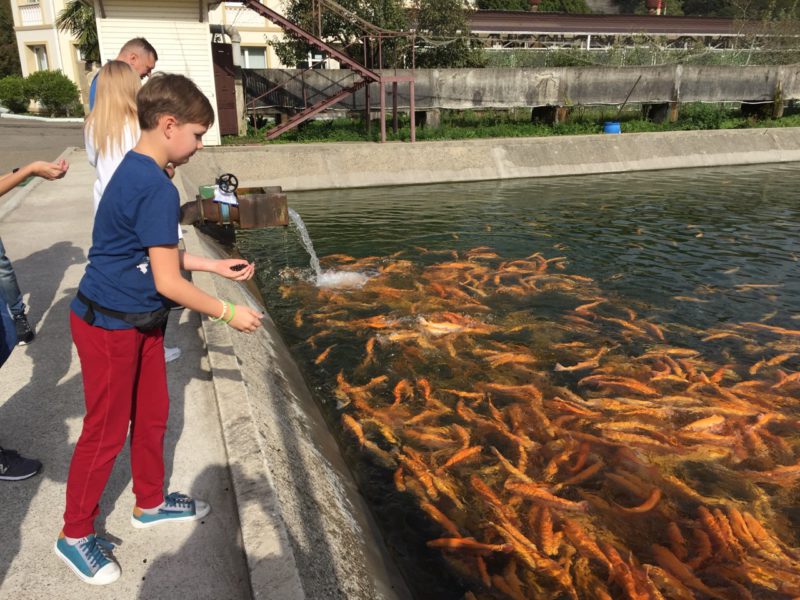 ТОП-35 лучших мест Сочи: куда сходить, что посмотреть самостоятельно в 2023 году