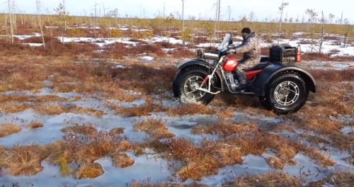 Каракат ЗИД Бархан