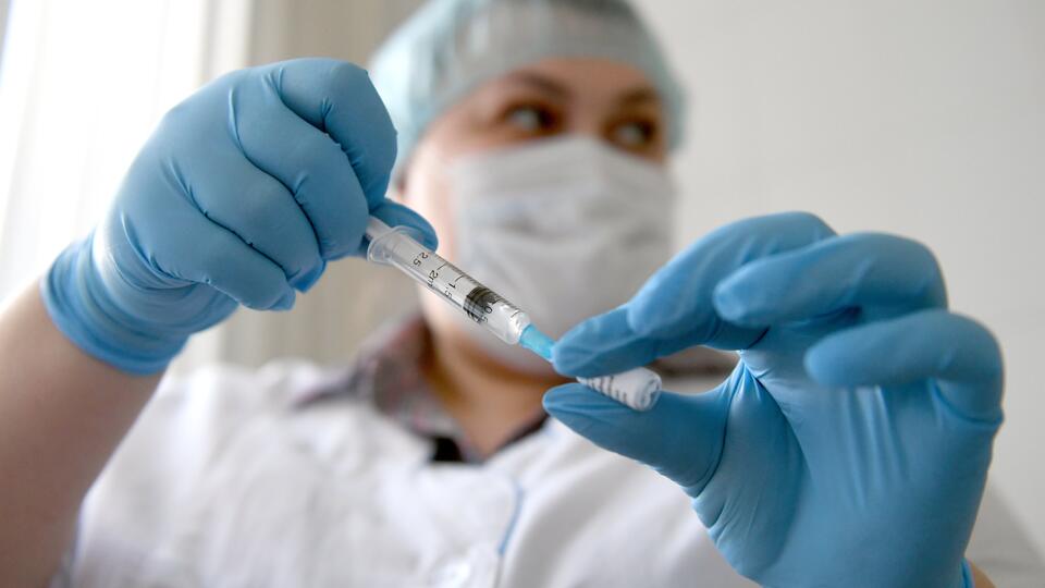 Все про клещей: фото видов, описание, как защититься, где сидят, как переносятся