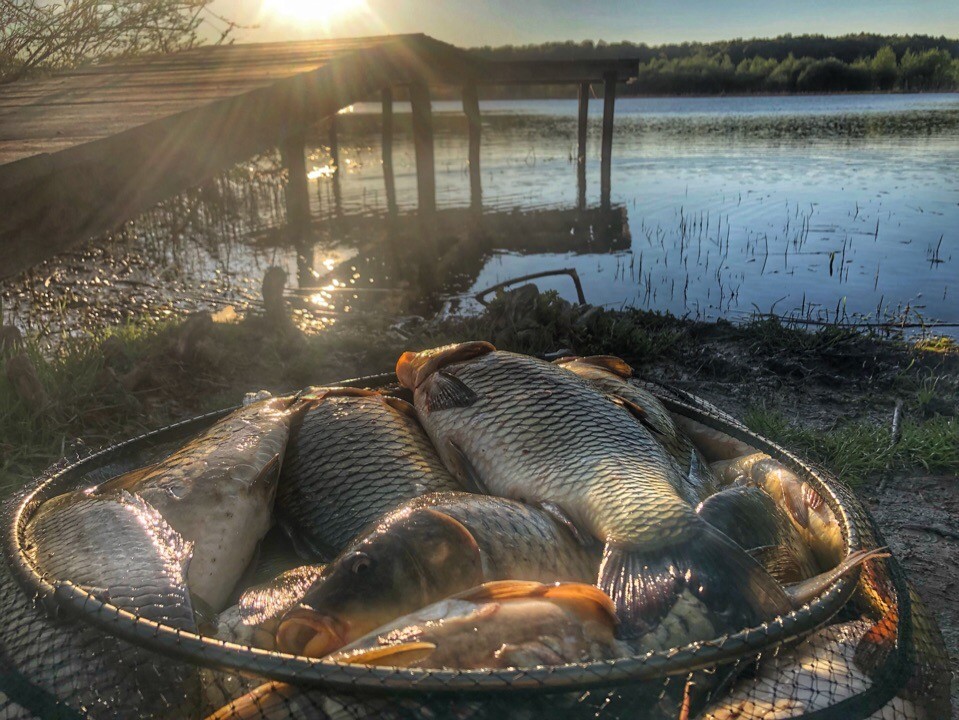 База отдыха и рыбалка