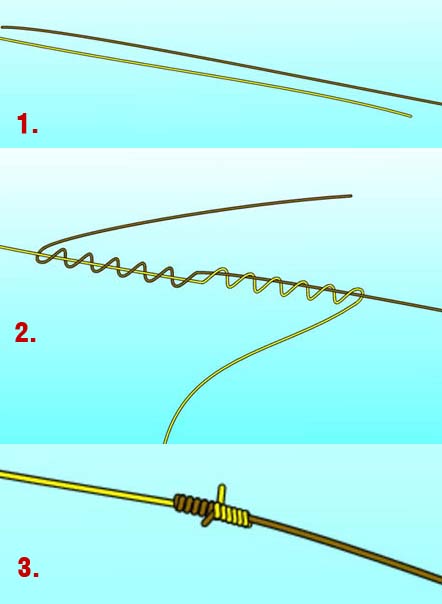 Blood knot Blood knot