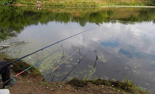 Рыбалка на поплавок +оснастка удочки для поплавочной ловли (весной, летом, зимой)