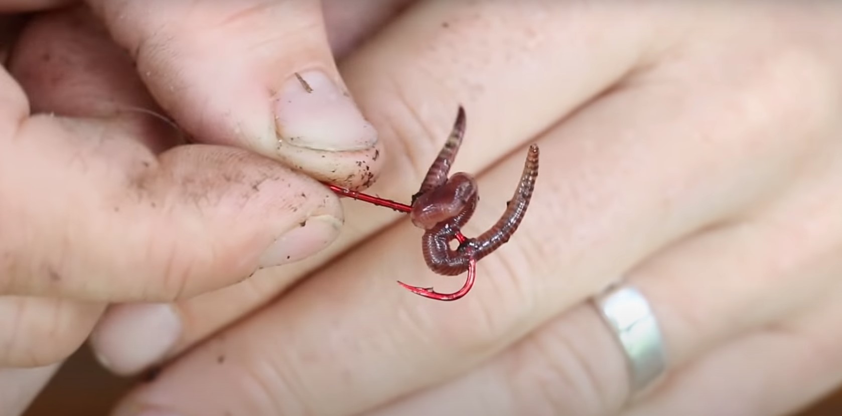 Вариант насадки на крупную рыбу